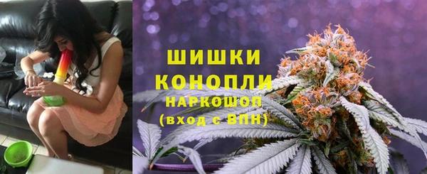 наркотики Бородино